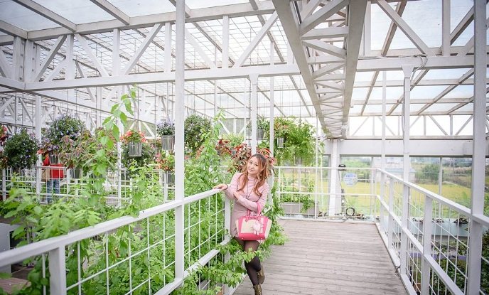 香草菲菲芳香植物博物館 香草菲菲芳香植物博物館