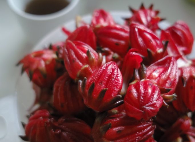 洛神花茶功效 洛神花茶功效
