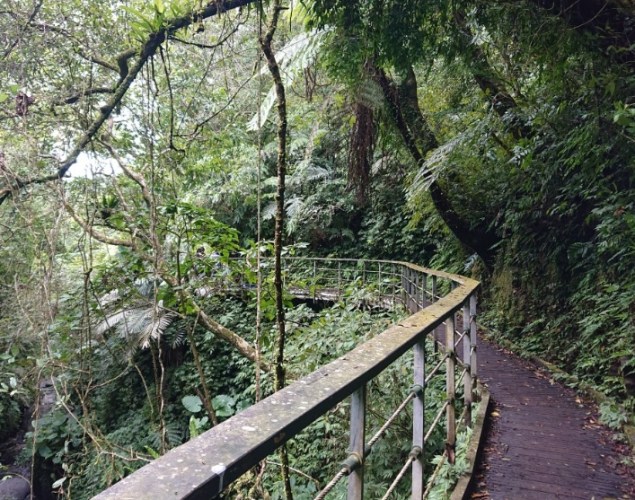 林美石磐步道 林美石磐步道