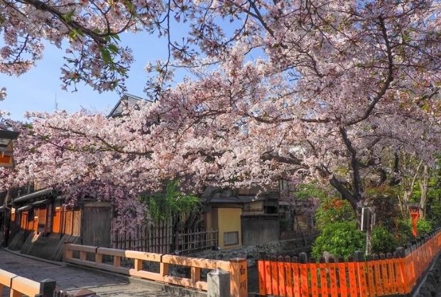 建仁寺 建仁寺