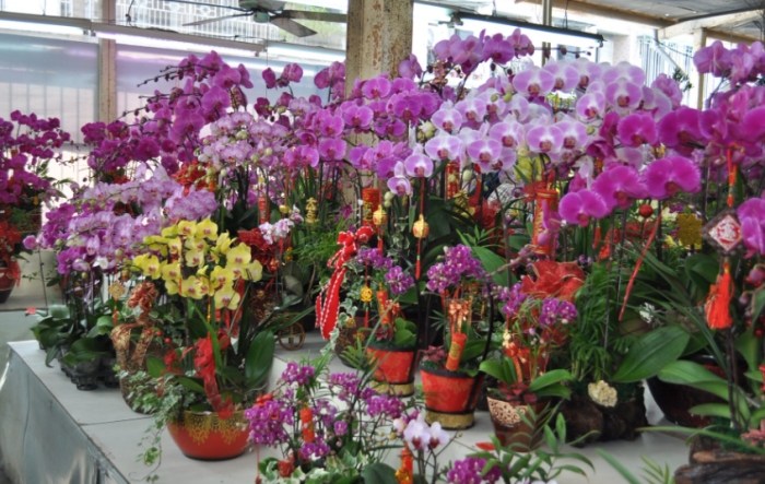 國光花市 國光花市