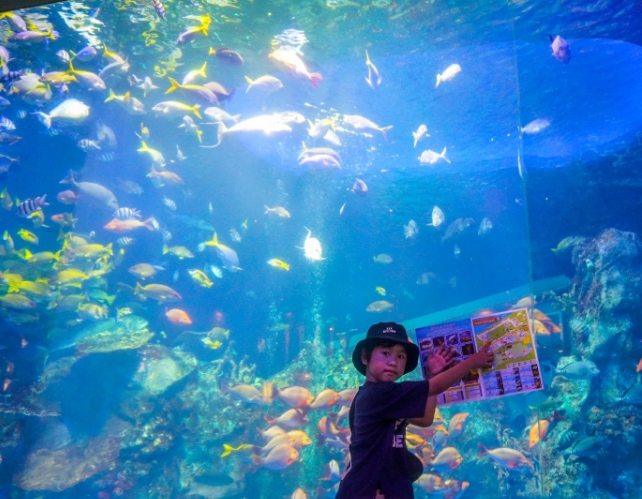 田尾水族館 田尾水族館