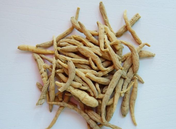 太子參功效 太子參功效