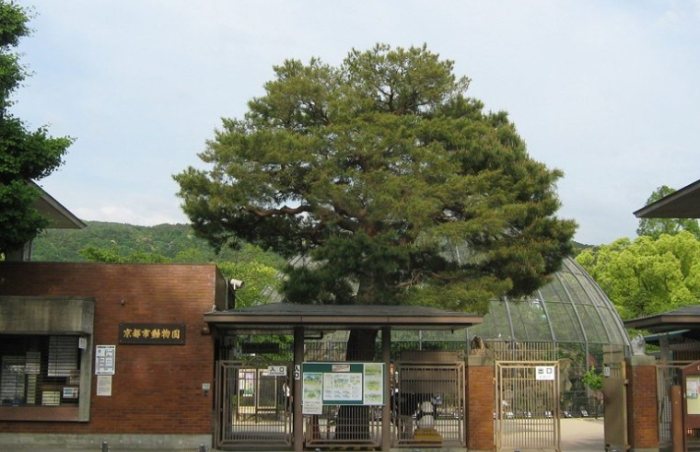 京都市動物園 京都市動物園