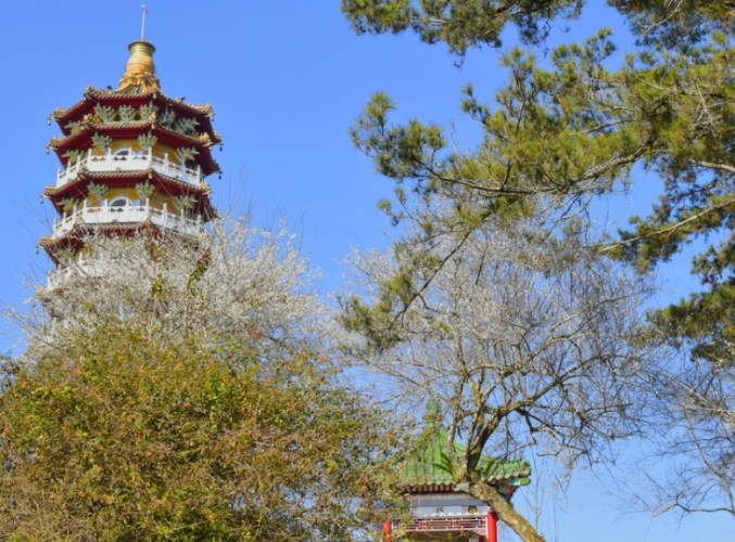 慈恩塔步道 慈恩塔步道