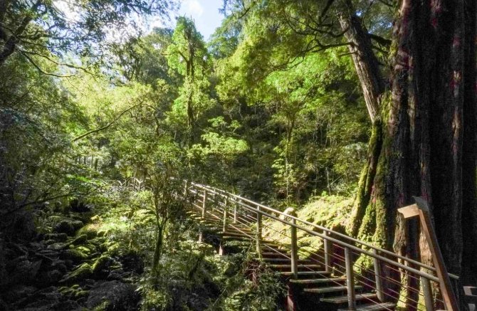 拉拉山國家森林遊樂區 拉拉山國家森林遊樂區