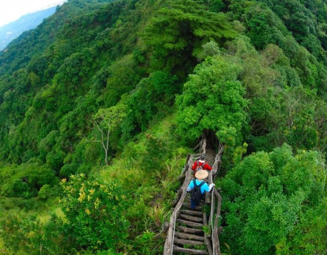大坑三號登山步道 大坑三號登山步道