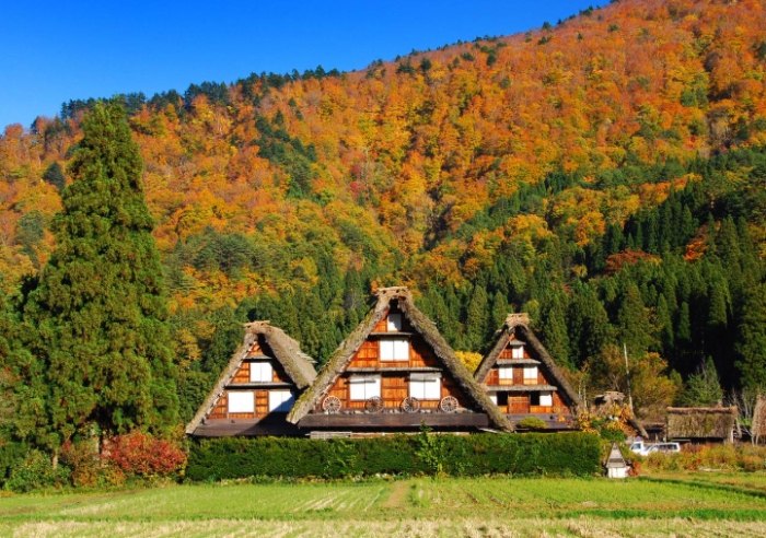 合掌村 合掌村