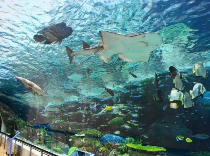 福岡水族館 福岡水族館