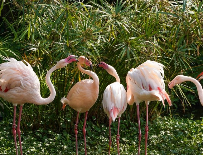 台北市動物園