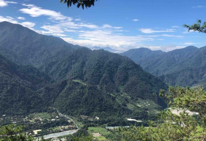 東卯山步道 東卯山步道