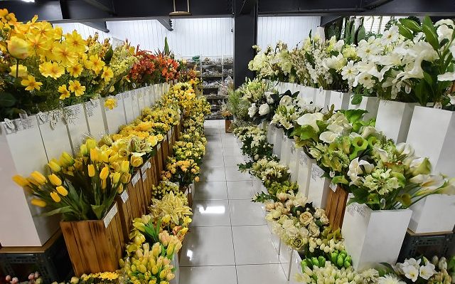 永春花市 永春花市