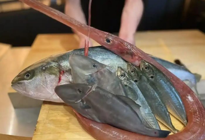 青甘魚