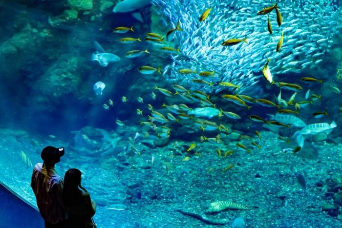 江之島水族館 江之島水族館