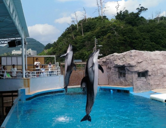 田尾水族館 田尾水族館