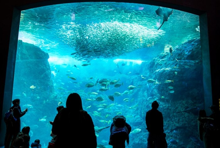 江之島水族館 江之島水族館