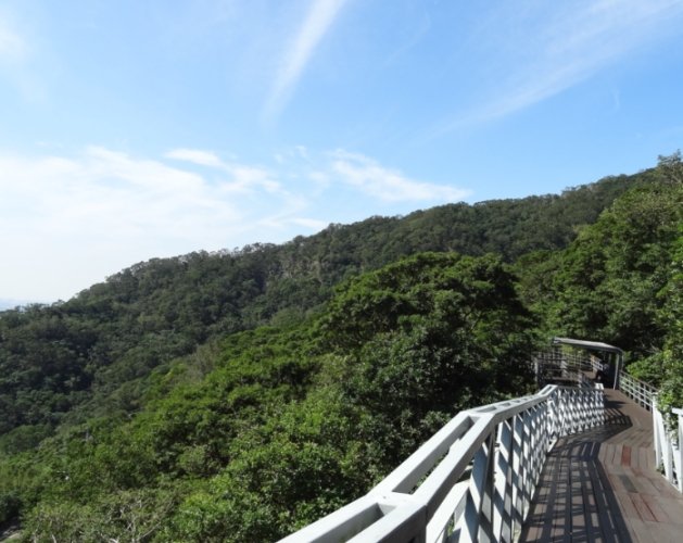 硬漢嶺步道 硬漢嶺步道