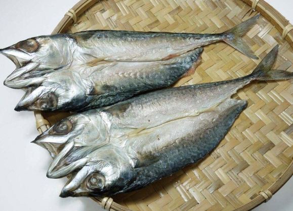 鹹魚 鹹魚