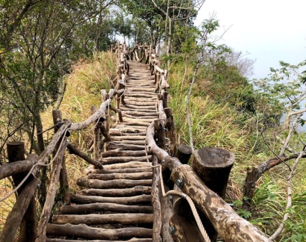 大坑二號登山步道 大坑二號登山步道