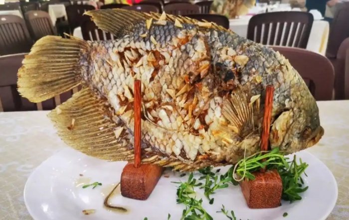 象魚 象魚