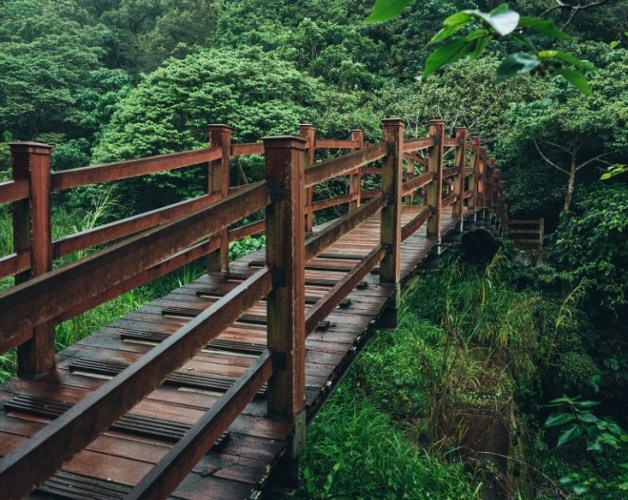 撒固兒步道 撒固兒步道