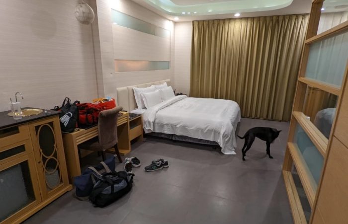 台南寵物友善汽車旅館 台南寵物友善汽車旅館