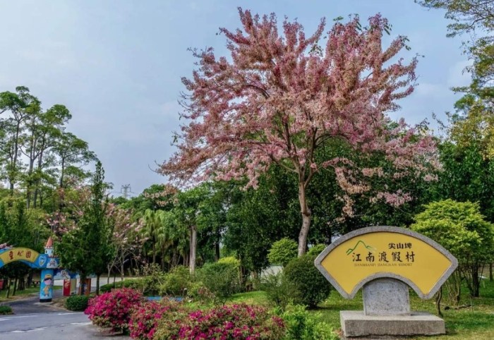 尖山埤渡假村 尖山埤渡假村