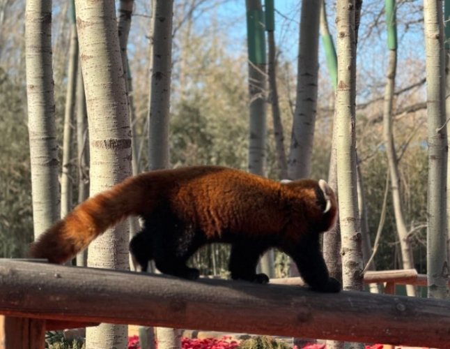 台北市動物園
