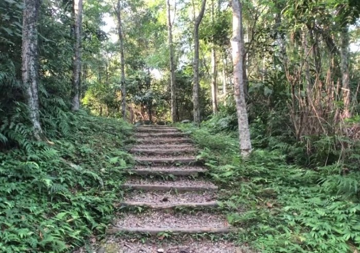 拳頭姆步道 拳頭姆步道