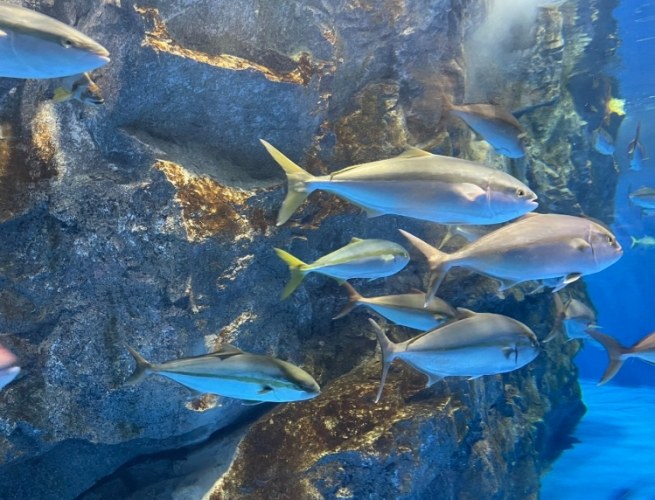 田尾水族館 田尾水族館