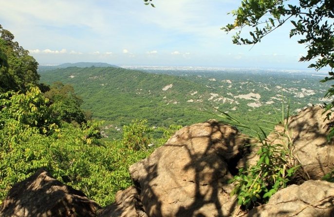 龍麟山步道 龍麟山步道