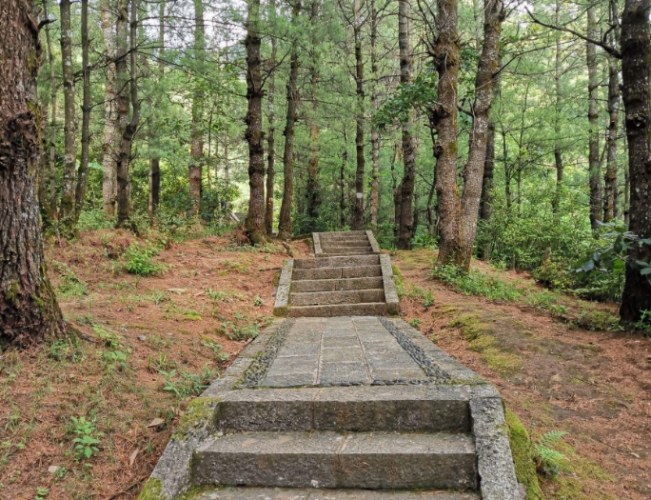 虎山登山步道 虎山登山步道