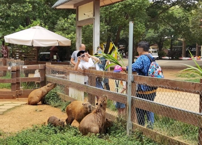 味全埔心牧場 味全埔心牧場