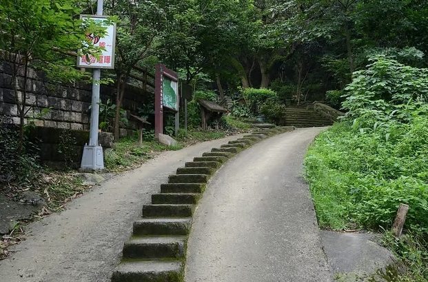 金面山親山步道