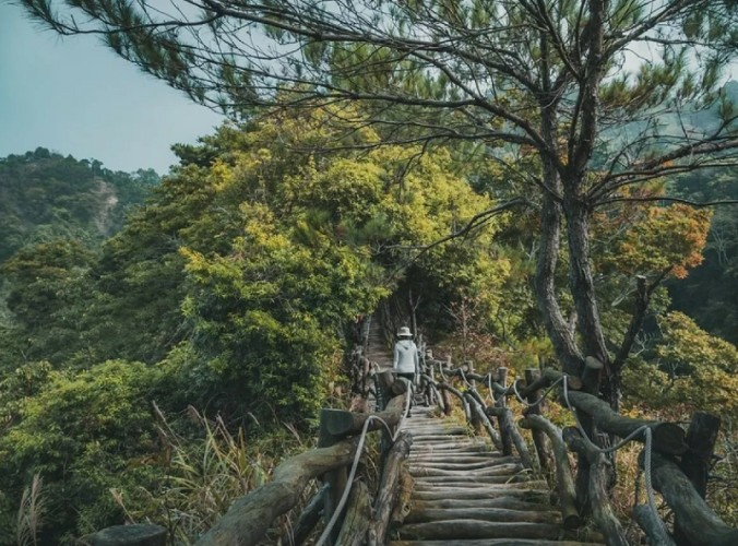 大坑四號登山步道 大坑四號登山步道