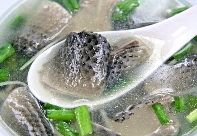 魚皮 魚皮
