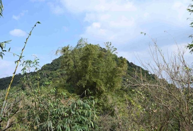 尖凍山 尖凍山