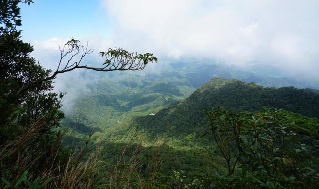 鳥嘴山 鳥嘴山