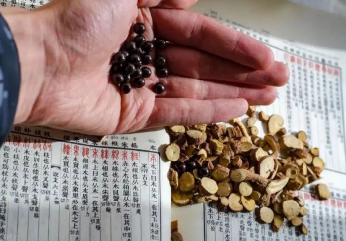 益氣聰明湯 益氣聰明湯