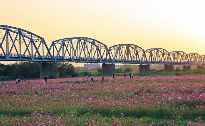 下淡水溪鐵橋 下淡水溪鐵橋
