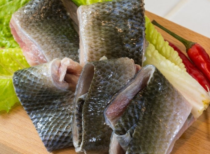 魚皮 魚皮