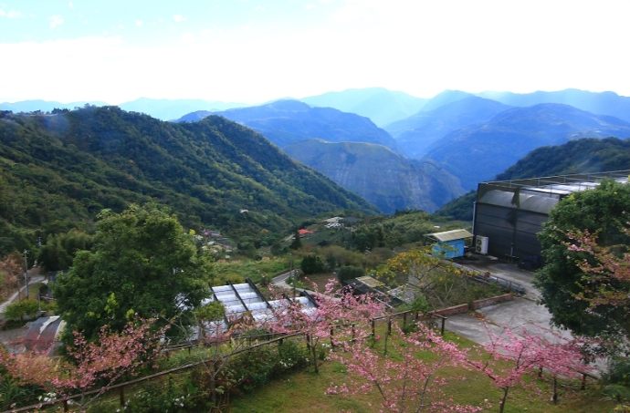 隙頂觀景台 隙頂觀景台