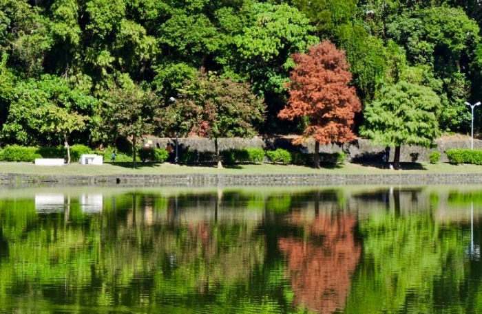 碧湖 碧湖