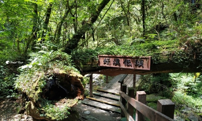 桃園步道