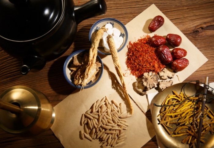 歸脾湯 歸脾湯