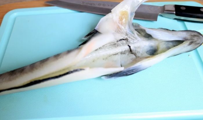 冰魚 冰魚
