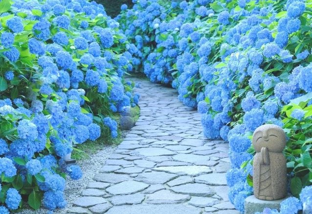 雲昌寺 雲昌寺