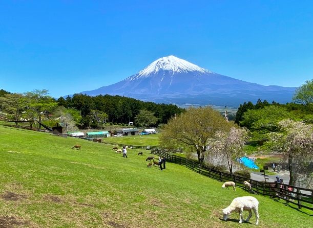馬飼野牧場 馬飼野牧場