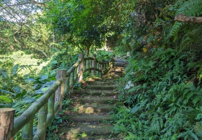 龍鳳谷森林步道 龍鳳谷森林步道