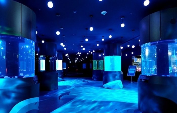 基隆海洋博物館 基隆海洋博物館